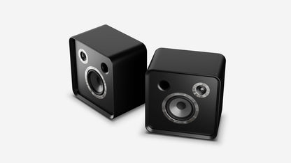 Eversolo SE100 Passive Bookshelf Speaker