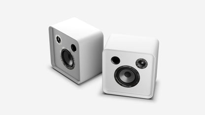 Eversolo SE100 Passive Bookshelf Speaker