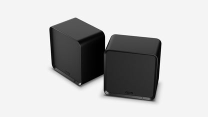 Eversolo SE100 Passive Bookshelf Speaker