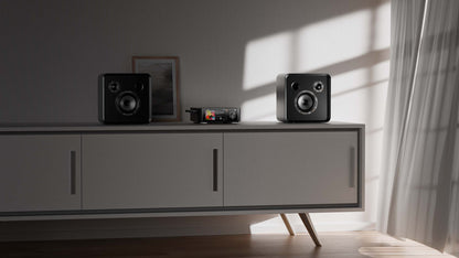 Eversolo SE100 Passive Bookshelf Speaker