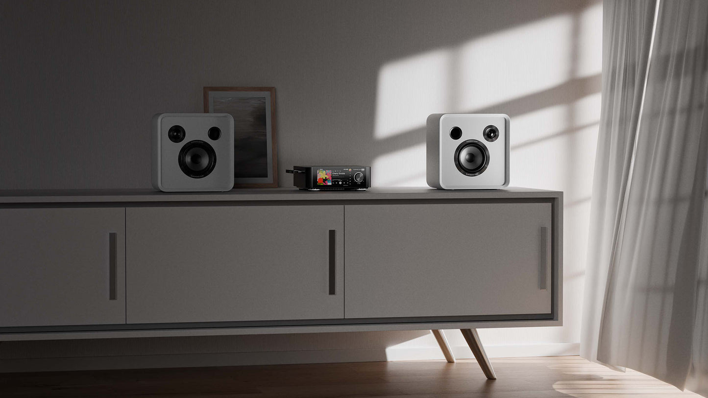 Eversolo SE100 Passive Bookshelf Speaker