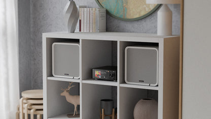 Eversolo SE100 Passive Bookshelf Speaker