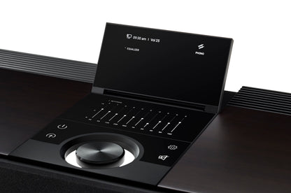 Primare Allt-i-Ett All-in-One Music System