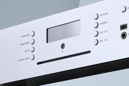 Burmester 161 All-in-One