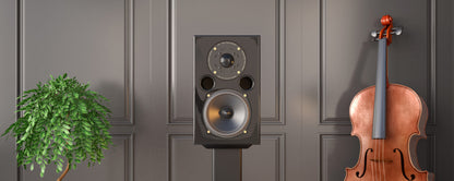 Acoustic Energy AE1 40th Anniversary Edition Standmount Loudspeaker