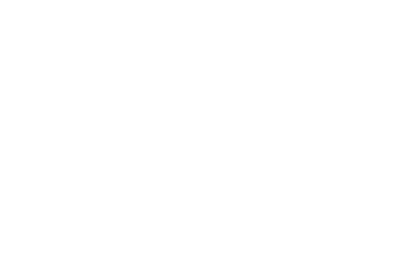 Perlisten X2w On-Wall Loudspeaker