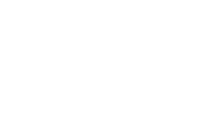 Perlisten X2w On-Wall Loudspeaker