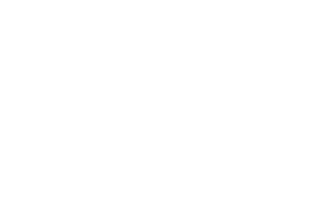 Perlisten X3w On-Wall Loudspeaker