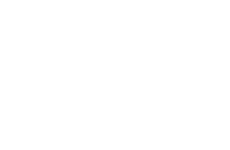 Perlisten X5w On-Wall Loudspeaker