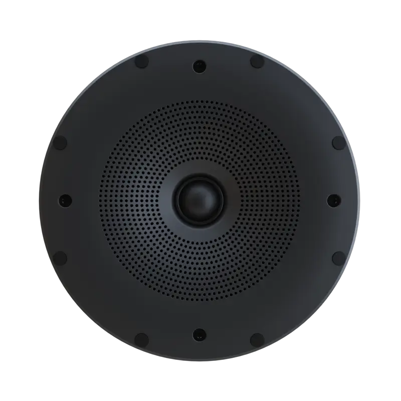 Perlisten X2ic In-Ceiling Loudspeaker