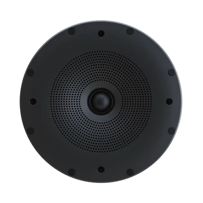 Perlisten X2ic In-Ceiling Loudspeaker