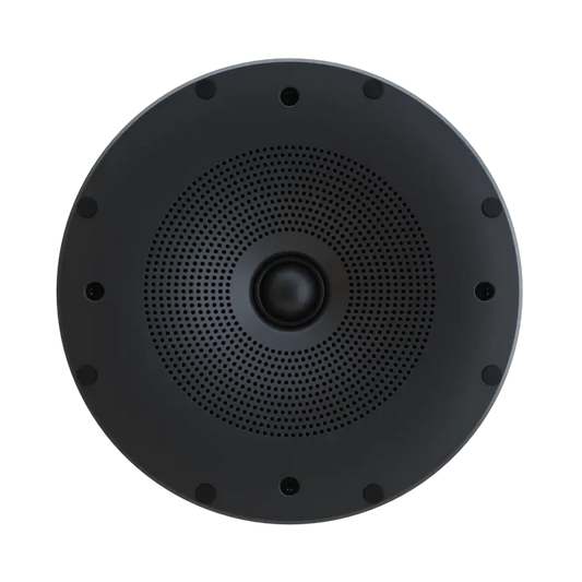 Perlisten X2ic In-Ceiling Loudspeaker