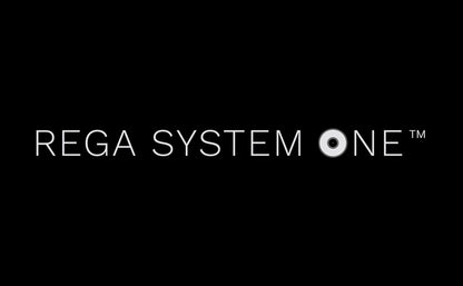 Rega System One